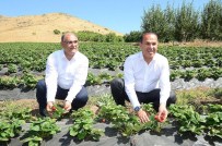 SOĞUK HAVA DEPOSU - Adana Büyükşehir, Kırsalda Hayata Bağlıyor