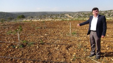 Akdoğan Açıklaması 'Tarımsal Sulamada Enerji Masrafımız Ortadan Kalktı'