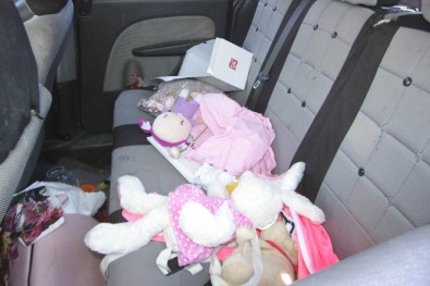 Orman Yangınını Seyreden Çifti Ezen Sürücünün 22 Yıl Hapsi İsteniyor