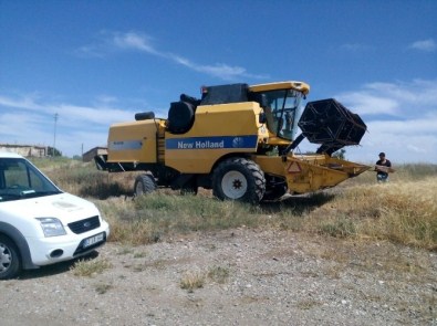 Samsat'ta Hububat Hasadı Başladı