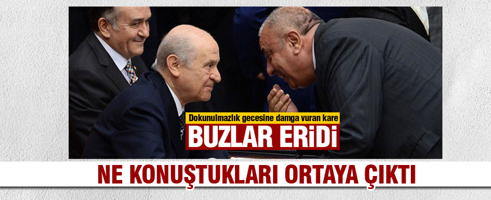 Bahçeli ve Türkeş'in ne konuştuğu ortaya çıktı
