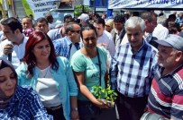 KOCABAŞ - Çerçioğlu, Sökk'de Yerli Tohum Fide Dağıttı