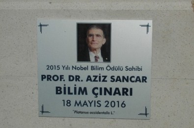 Prof. Dr Sancar'a 'Üstün Bilim İnsanı Ödülü'