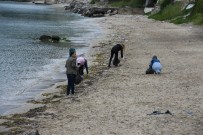 SINOP ÜNIVERSITESI - Sahilleri Temizlediler