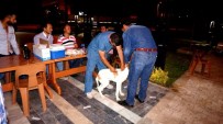 Sarıgöl'de Av Köpeklerine Kuduz Aşısı Yapıldı