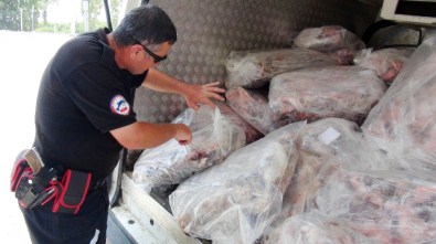 Yakalanmasa Yiyecektik ! Tam 1.5 Ton...