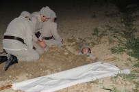 101. Yıl Önceki Gibi