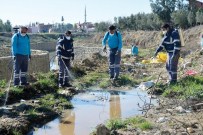 Adana'da Sinek Ve Haşereyle Mücadele