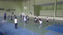 MEMİŞ İNAN - Kaymakamlık Kupası Voleybol Maçı Yapıldı