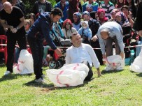 TERMAL TURİZM - Öğretmenler Çuvalladı