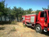 CAFER YıLMAZ - Ormanlık Alandaki Yangına Güçlükle Müdahale Edildi