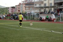 Sahaya Giren Davetsiz Misafiri Futbolcular Dışarı Çıkardı