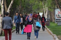 TÜİK Gençlik İstatistikleri 2015 Verilerini Paylaştı