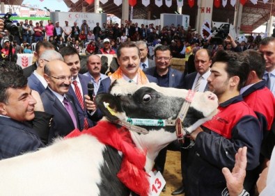 Bakan Çelik'in Müjdeleri Sektörü Hareketlendirdi