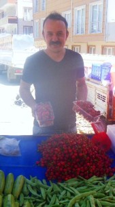 Bilecik'in İlk Yerli Erkenci Kirazı Görücüye Çıktı