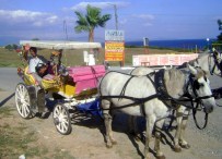 TURİZM SEZONU - Didim'de Faytoncular Gezdirecek Turist Bekliyor