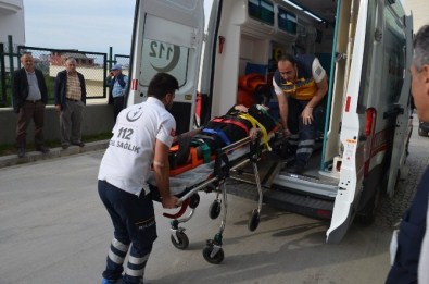 Fatsa'da Trafik Kazaları Açıklaması 5 Yaralı