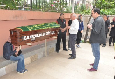 Genç Kemancıya Veda