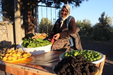 Kendini Organik Ürüne Adadı