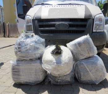 Diyarbakır'da Uyuşturucu Tacirlerine Darbe