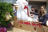 PEYZAJ MIMARLARı ODASı - Kesme Çiçekçinin Hasat Festivali Başlıyor
