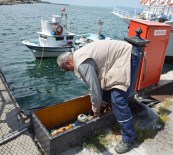 Mudanya İskelesi Büyükşehir'e Devredildi