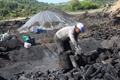 Yaz Yaklaştı Mangal Kömürü Yapımı Hızlandı