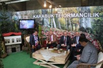 NECDET AKSOY - Ankara'da Safranbolu Rüzgârı