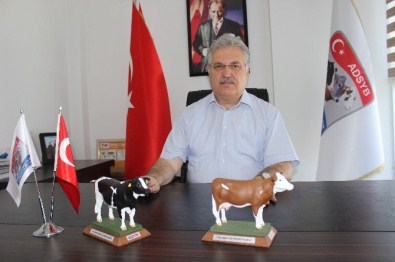 'Sağlıklı Olmak İçin Yaşam Boyu Süt Tüketilmeli'