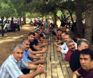 AHMET YILDIRIM - Bask Üyeleri Piknikte Buluştu