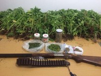 Denizli'de Uyuşturucu Operasyonu