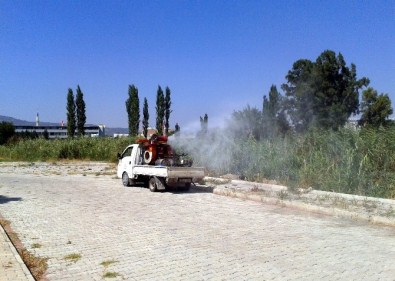 Germencik'te Sivrisinek Olmayacak