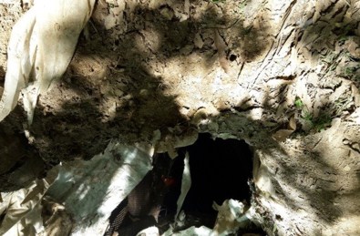 PKK'ya Darbe Üstüne Darbe