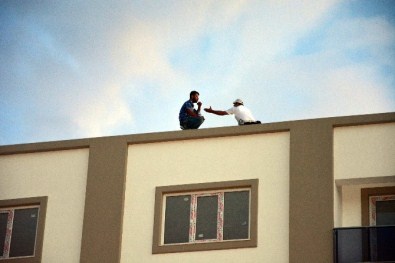 Polis, intihara teşebbüs eden komşusunu ikna ederek çatıdan indirdi