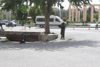 BOMBA İMHA UZMANI - Polisin, Şüpheli Paket Hassasiyeti Sürüyor