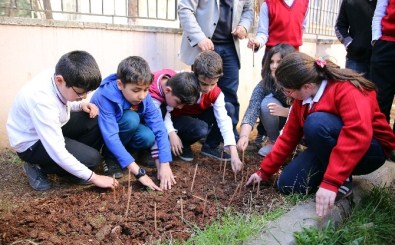 Yeşeren Kalemler Toprakla Buluştu