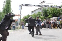 BABA OCAĞI - Bakan Kaya İçin Memleketi Muğla'da Davul Zurnalı Kutlama