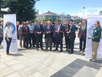 BİLİM ŞENLİĞİ - Bilim Şenliği Gerçekleştirildi