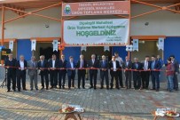 BÜYÜKŞEHİR KANUNU - Dipsizgöl Ürün Toplama Merkezi'ne Coşkulu Açılış