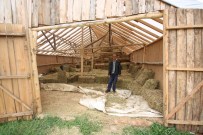 KURUCUOVA - Koyunlarını İnternetten Satışa Çıkaran Besiciler Dolandırıldı