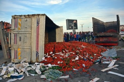 Domates Yüklü Tır Devrildi