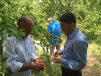 CHP'li Kiraz, Gümrük Ve Ticaret Bakanı Bülent Tüfenkci'ye Seslendi