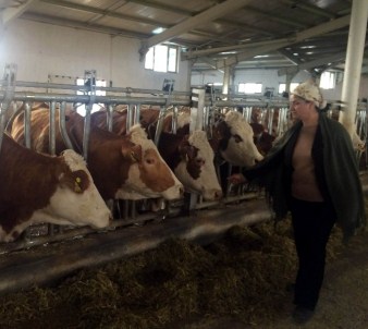 Ev Kadınlığından İş Hayatına