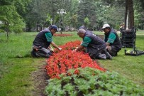 İnegöl Çiçek Açtı