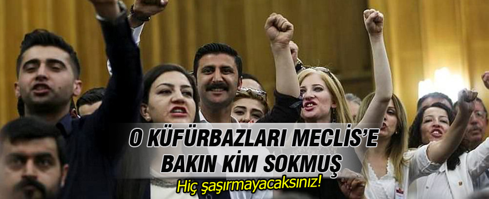 Erdoğan'a küfür edenleri Meclis'e bakın kim sokmuş