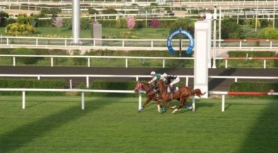 Kırkpınar Koşusu 27 Mayıs'ta