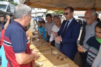 OYUNCAK MÜZESİ - Koçarlı'da Resim Ve Eski Oyuncaklar Sergisi Açıldı