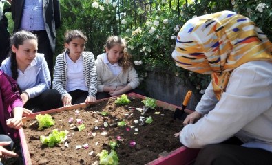 Küçük Çiftçiler Yetişiyor