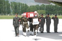 SUPHI KÜSBECI - Mardin'de Şehit Olan Astsubayın Naaşı Tokat'a Getirildi
