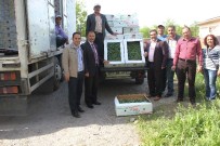 Muş'ta 95 Bin Adet Biber Fidesi Dağıtıldı